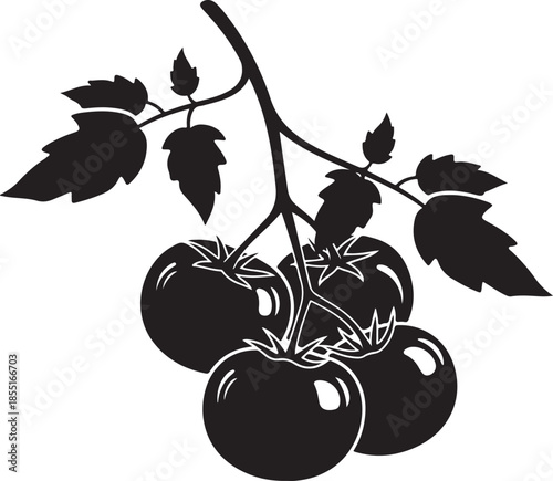 Black silhouette of ripe tomatoes on a vine with leaves plant fruit
