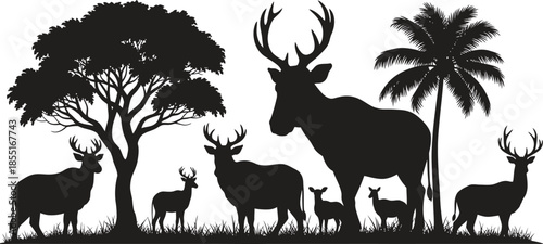 Deer family silhouette in tropical forest