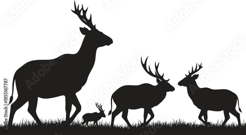 Silhouette of a family of deer in a grassy field