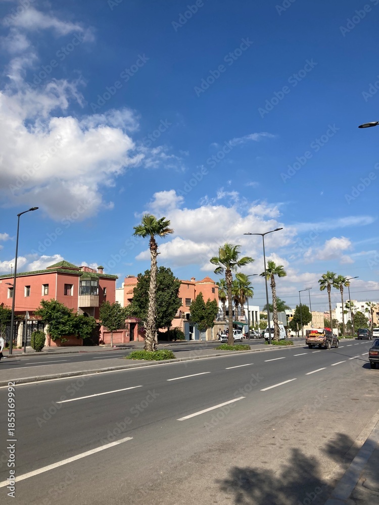 Obraz premium street with palm trees
