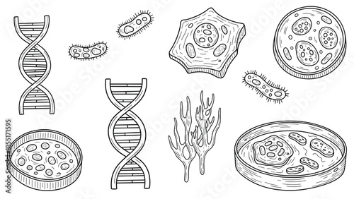 Hand-drawn collection of biology and science icons, including DNA helixes, bacteria, cells in petri dishes, and seaweed.
