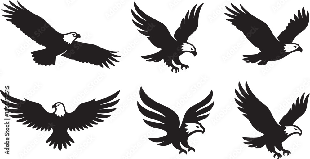 Obraz premium Six black silhouette eagles in various flying poses on white background bird