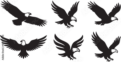 Six black silhouette eagles in various flying poses on white background bird