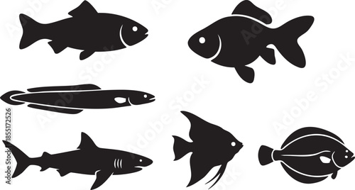 Six black silhouette fish including shark angelfish flounder eel goldfish white