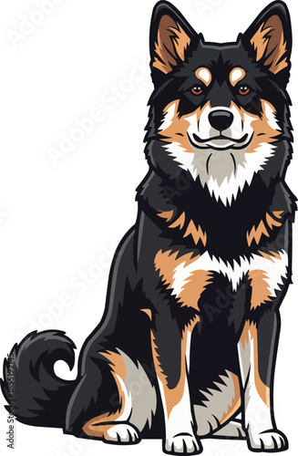 Lapponian Herder dog sitting relaxed attentive facing front pose