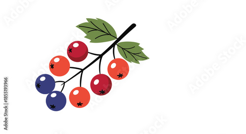 Sprig of colorful berries in shades of red and blue with green leaves on a white background representing natural harvest and healthy nutrients.