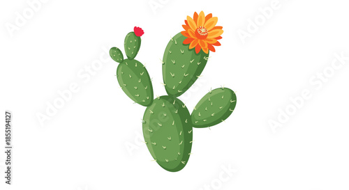 Flowering prickly pear cactus with vibrant green pads and a bright orange blossom on top in a clean vector illustration style for desert decor.