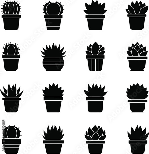 Collection of sixteen different potted cactus and succulent plant in black and white minimalist