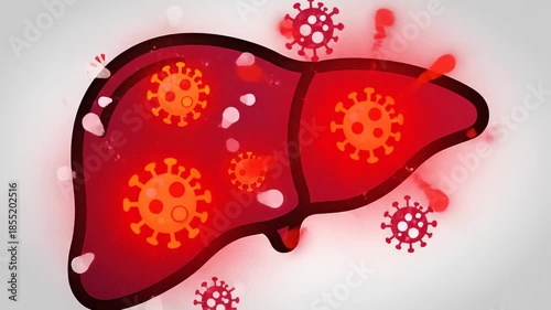 Liver Affected by Hepatitis B Virus Infection