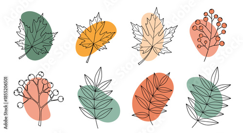 Set of elegant autumn leaves and berries drawn in a minimalist line art style with abstract colorful shapes for modern decoration.