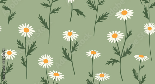 Seamless floral pattern with beautiful white chamomile or daisy flowers on a calming sage green background for textile and wallpaper.