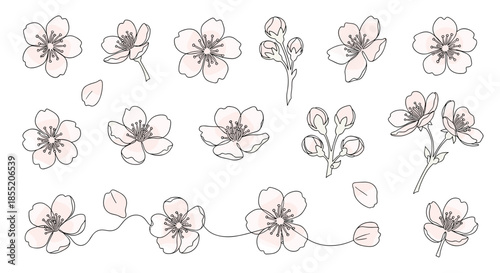 Collection of Japanese cherry blossom or sakura flowers and buds drawn in a delicate, stitched line art style for spring designs.