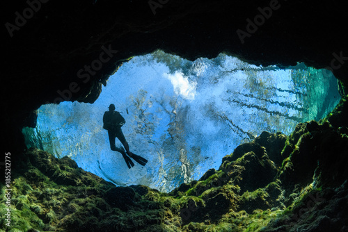 Diver Swimming in Spring