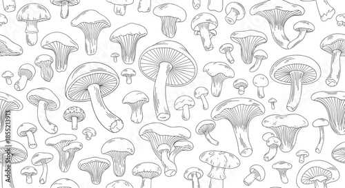 Seamless background pattern of various wild mushroom types in detailed black and white line art illustration style.