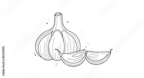 Detailed black and white line art illustration of a whole garlic bulb and two individual cloves on a white background.