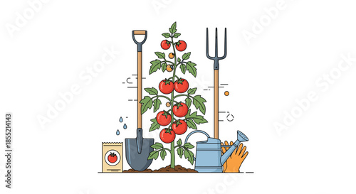 Illustration of a healthy tomato plant growing in soil surrounded by gardening tools like a shovel, pitchfork, and watering can.