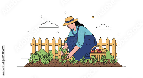 Female farmer working in vegetable garden harvesting fresh produce while squatting next to wooden fence and full apple basket.