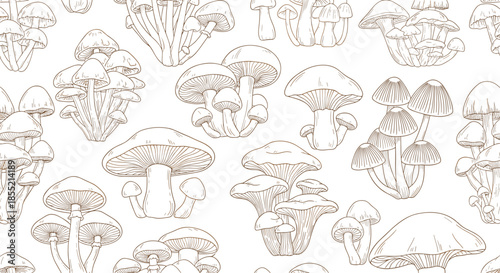 Seamless background pattern with various hand drawn edible and wild mushroom species in vintage engraved sketch style.