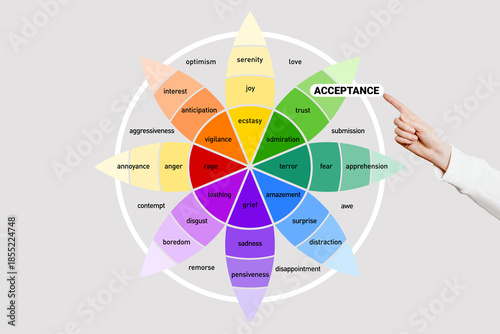 Emotion of acceptance on the wheel of emotions. Female hand points to the word acceptance. Human psychology.