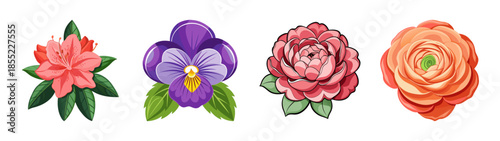 Beautiful floral arrangement featuring azalea pansy peony and ranunculus flowers illustration