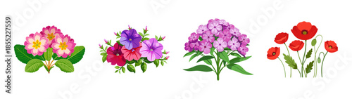 Beautiful floral arrangement of primrose petunias phlox and poppies vector illustration art