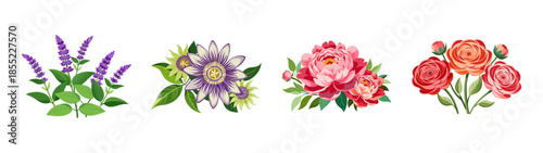 Watercolor floral arrangement illustration featuring lavender passionflower peony ranunculus flower bouquets