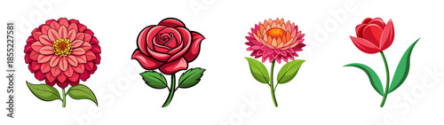 Illustration of red flowers including rose tulip dahlia strawflower and floral elements bouquet