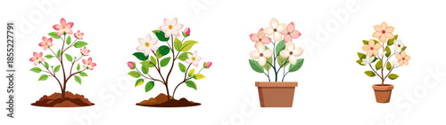 Illustration of flowering plants in soil and pots for home decor and gardening projects design