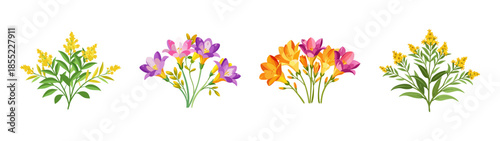 Watercolor freesia flower bouquet illustration, floral arrangement, botanical art print and card design