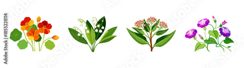 Beautiful floral arrangement of nasturtiums lily of the valley and morning glory flowers art