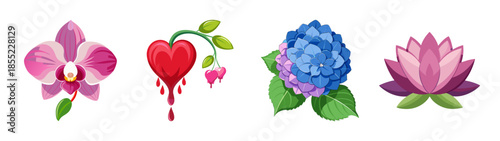 Assorted floral collection featuring orchid, bleeding heart, hydrangea, and lotus flower art