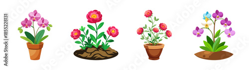 Beautiful potted plants flowers illustration vector design decorative floral elements for home decor art
