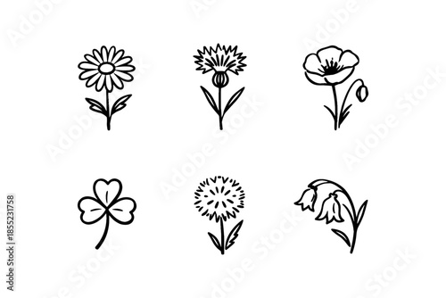 Black and white hand drawn floral set with daisy, clover, and bellflower