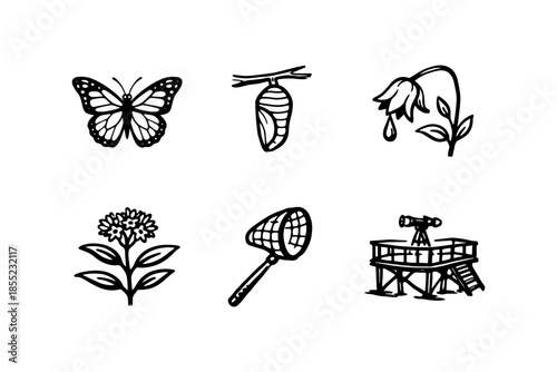 Nature and wildlife doodles: butterfly, flowers, birdwatching, net, cocoon