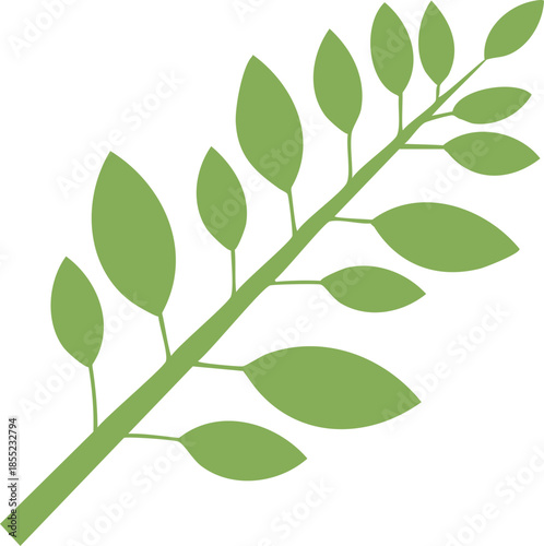 식물-가지-잎-나뭇잎-잎사귀 가지-식물줄기