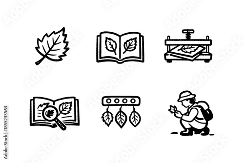 Leaf exploration icons: nature study, preservation, and botany adventures