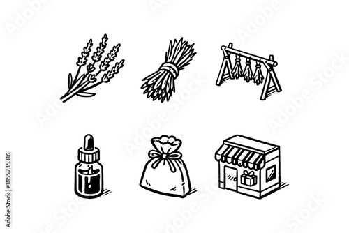 Hand-drawn lavender collection: essential oil, bunches, drying rack, storefront, herbal bag