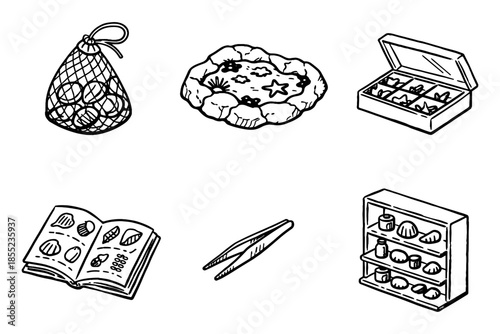 Hand-drawn sea exploration tools and treasures: book, tweezers, shells, and aquarium
