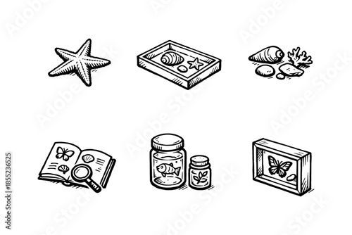 Hand drawn beach and nature collectibles icons set