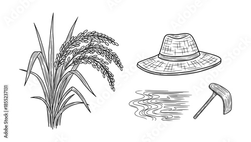 Harvest elements: hand drawn rice plant, farmer hat, water ripples, and sickle