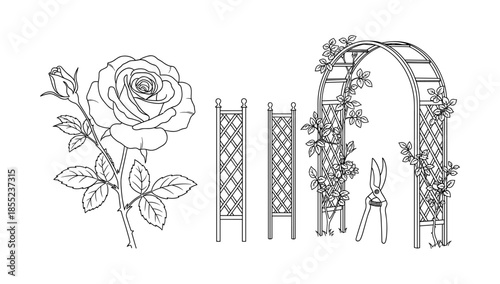 Intricate floral garden elements: black and white rose, trellis, and archway