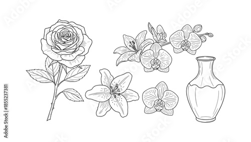 Black and white floral sketch with rose, orchids, and lily with vase