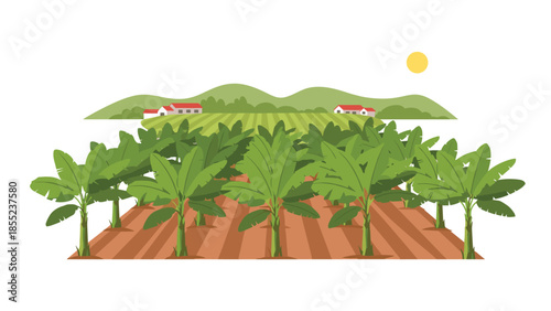 Expansive banana plantation with rows of green banana trees, set against a scenic backdrop of rolling hills and quaint farmhouses.