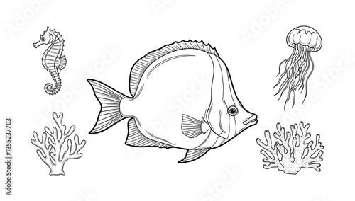 Marine life linear art with fish, jellyfish, seahorse, and coral reef elements