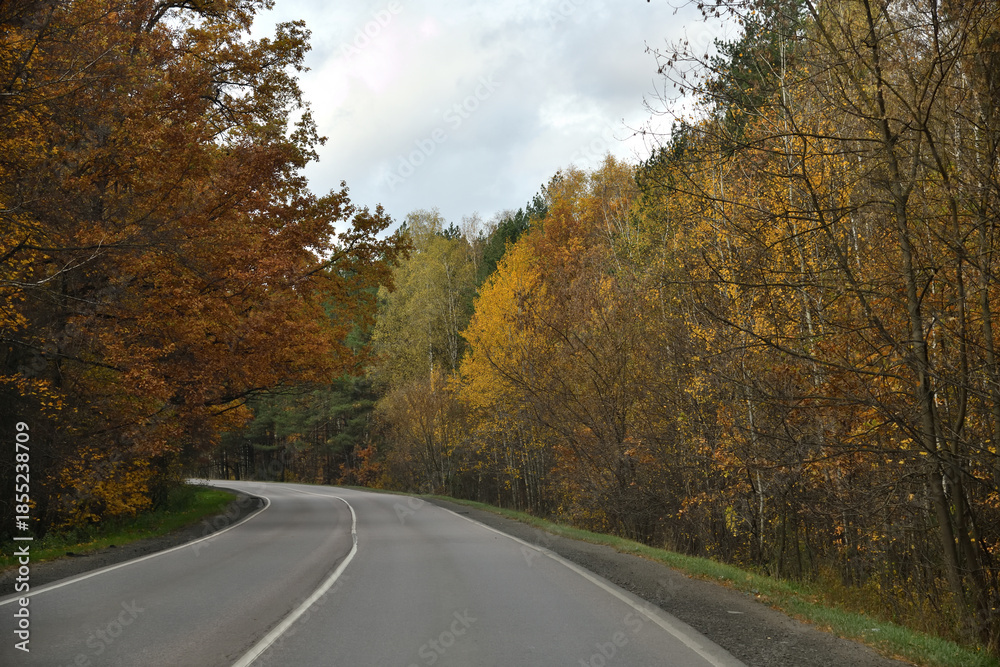 Obraz premium An asphalt road runs through an autumn forest on a cloudy day.