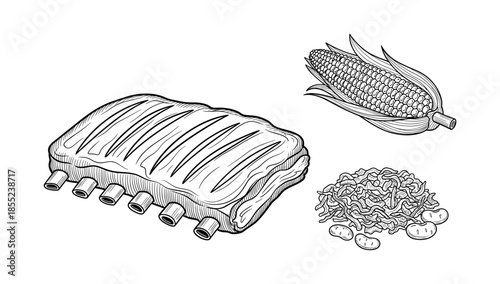 Hand drawn barbecue picnic with pork ribs, corn, and salad