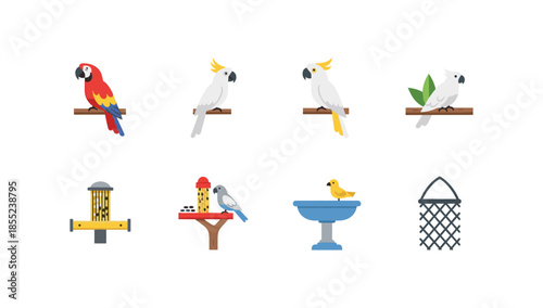 Colorful birds and feeding accessories in flat style set on white background