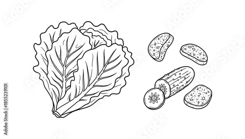 Detailed black and white drawing of fresh lettuce, cucumber, and bread