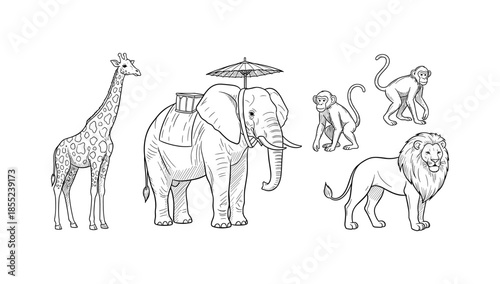 African wildlife line art: elephant, giraffe, lion, monkeys
