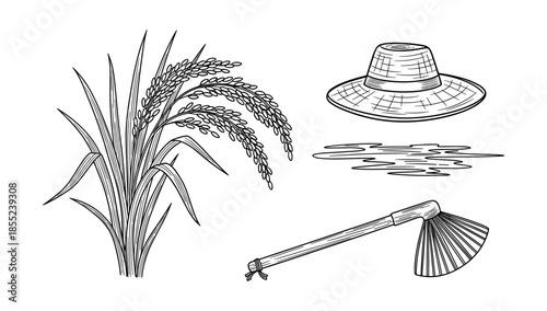 Hand drawn rice plant, farmer hat, and hoe sketch art set for agricultural designs